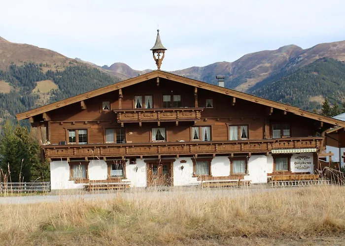 Haus Hoelzlbauer 3 公寓 克里姆尔