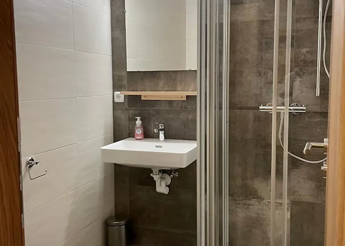 Haus Hoelzlbauer 3 Appartamento *